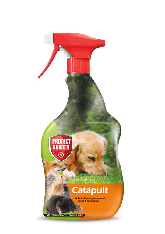 Cat-a-pult