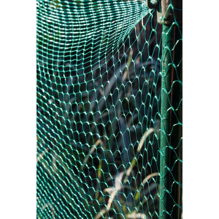 Green Garden Net Protection 15mm x 6 x 4m