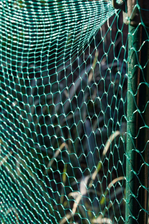 Garden Net Green