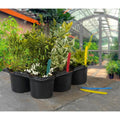 Plant Labels Pack Of 50