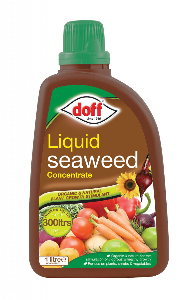 Doff Liquid Seaweed Plant Feed 1L