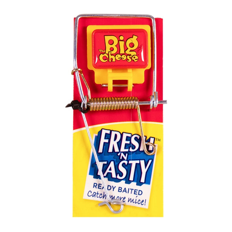 Big Cheese Fresh Baited Mouse Trap