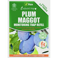 Vitax Plum Tree Maggot Trap