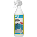 HG Mould Remover Foam Spray
