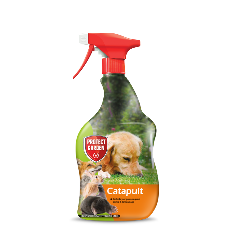 Cat-a-pult