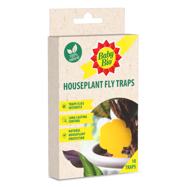 Baby-Bio Houseplant Fly Traps 10pk