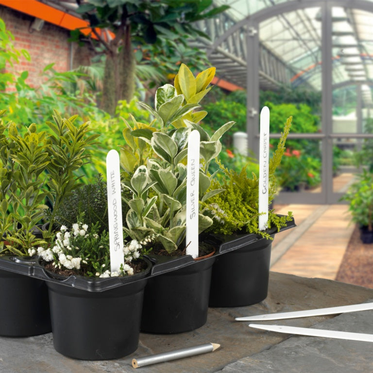 Plant Labels