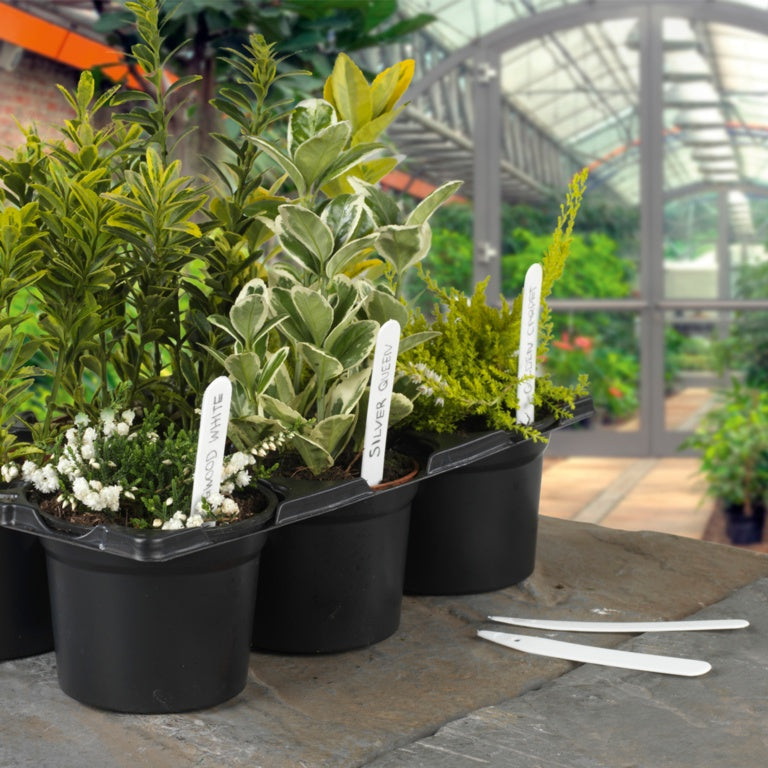 Plant Labels